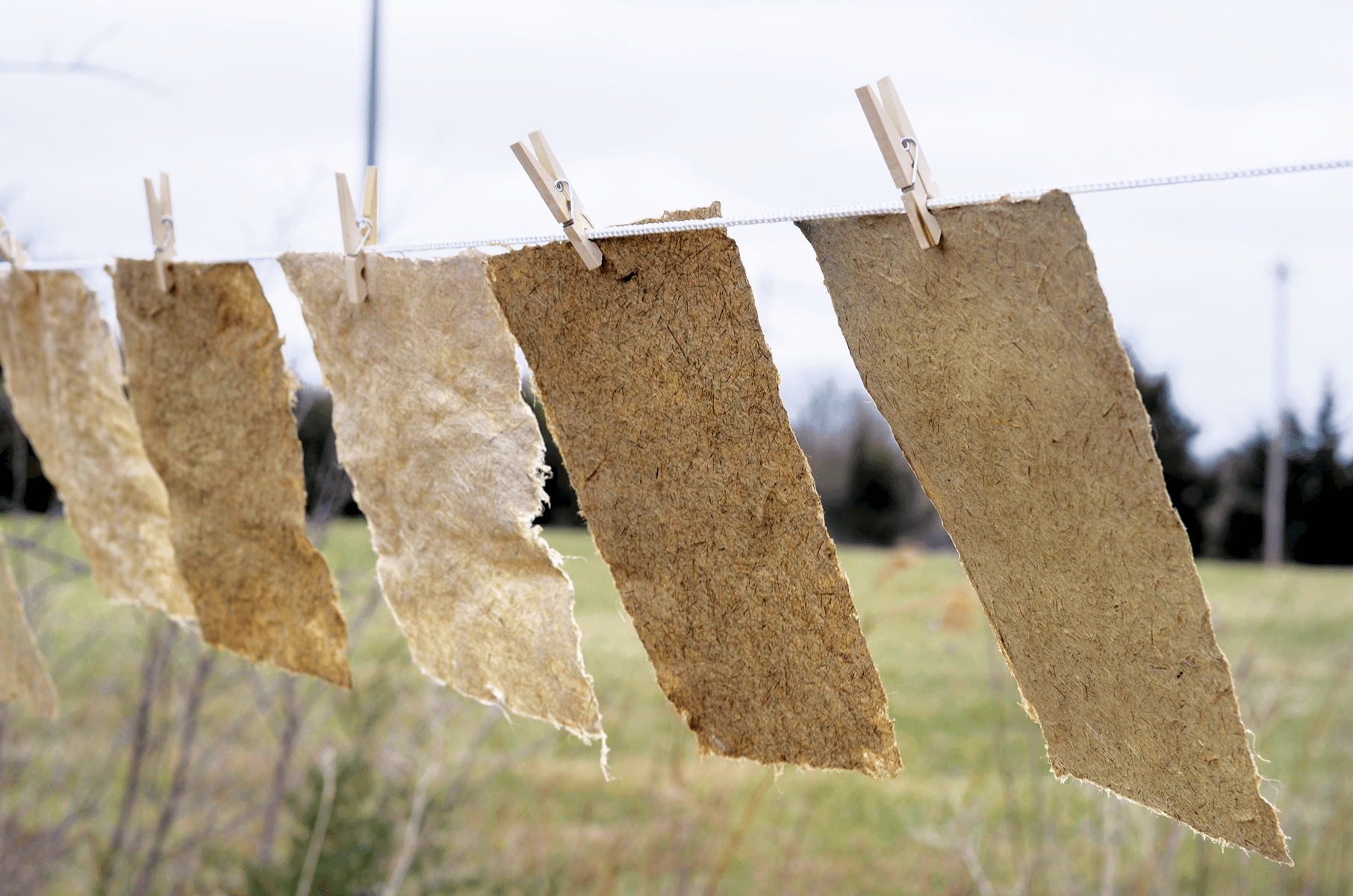 Sun Drying and Pressing